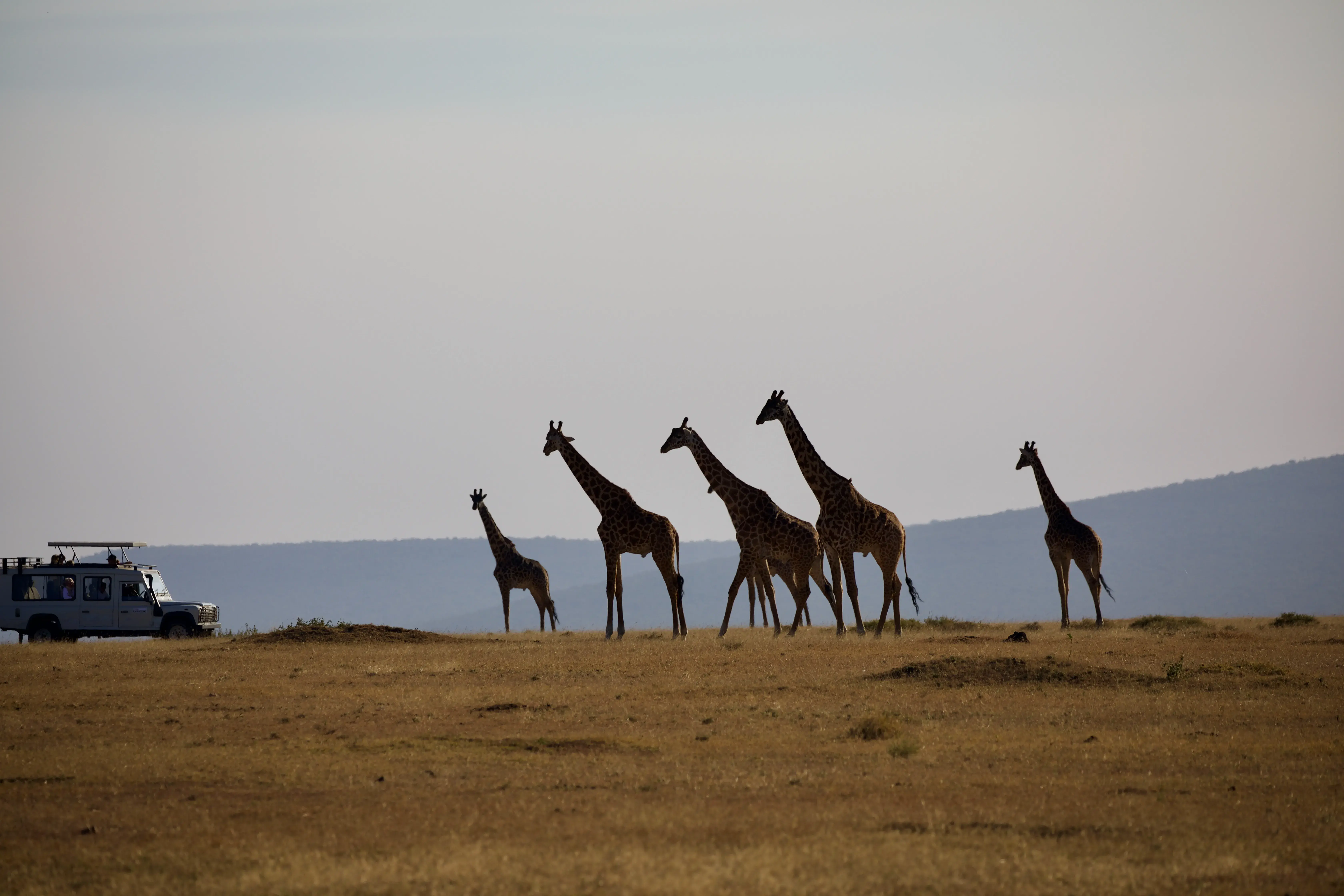 Serengeti via Ngorongoro