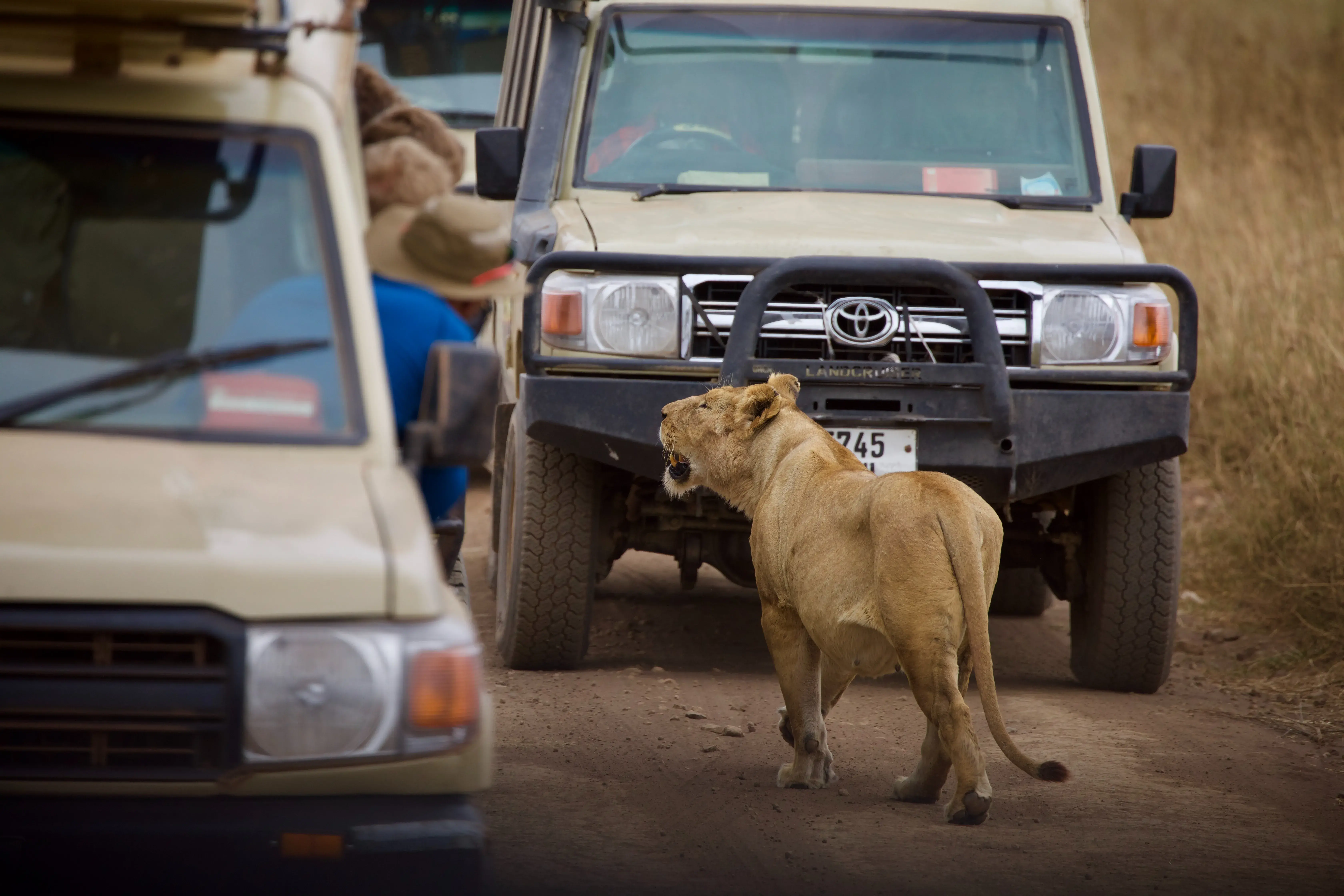 Ngorongoro Crater