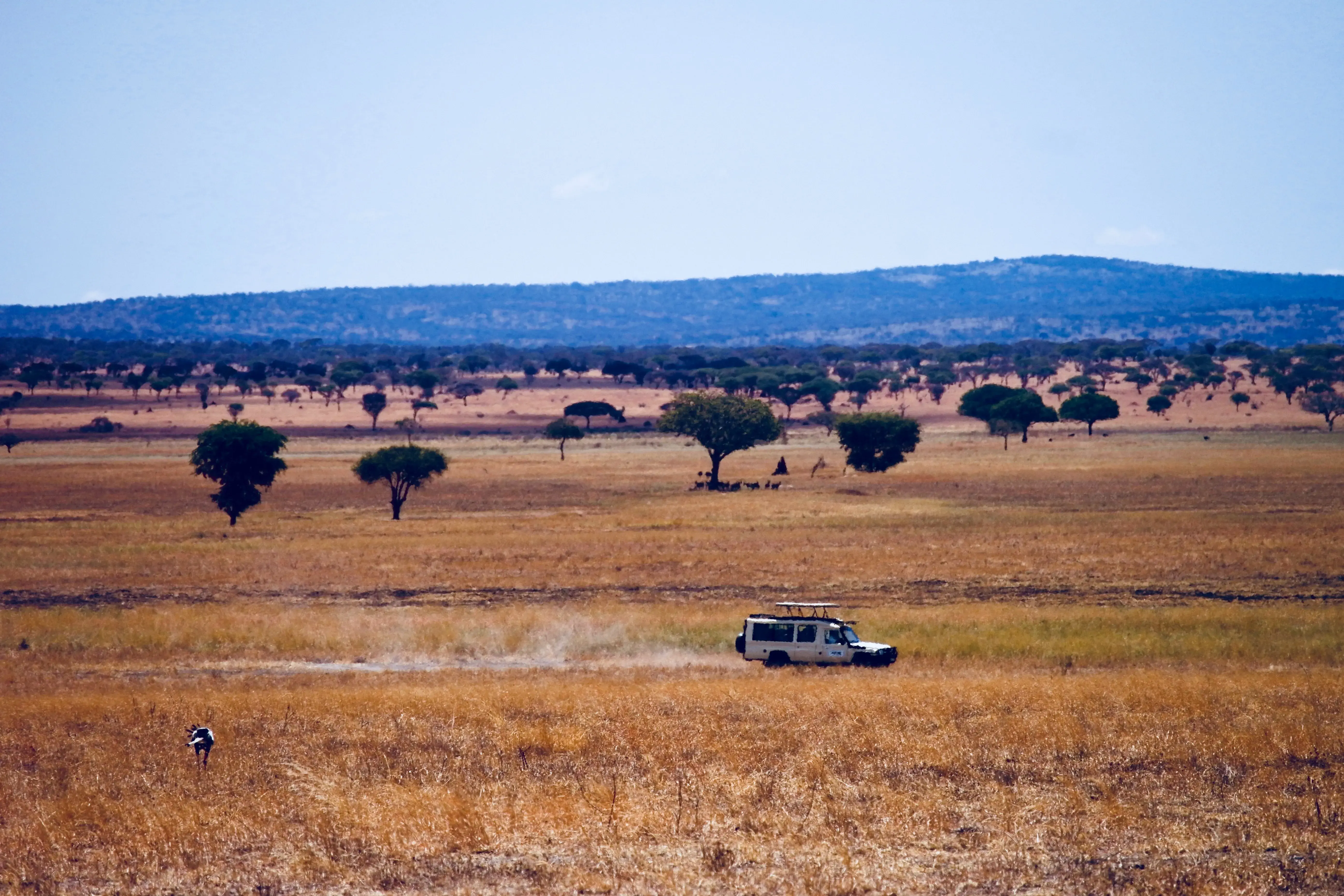 Ngorongoro Crater