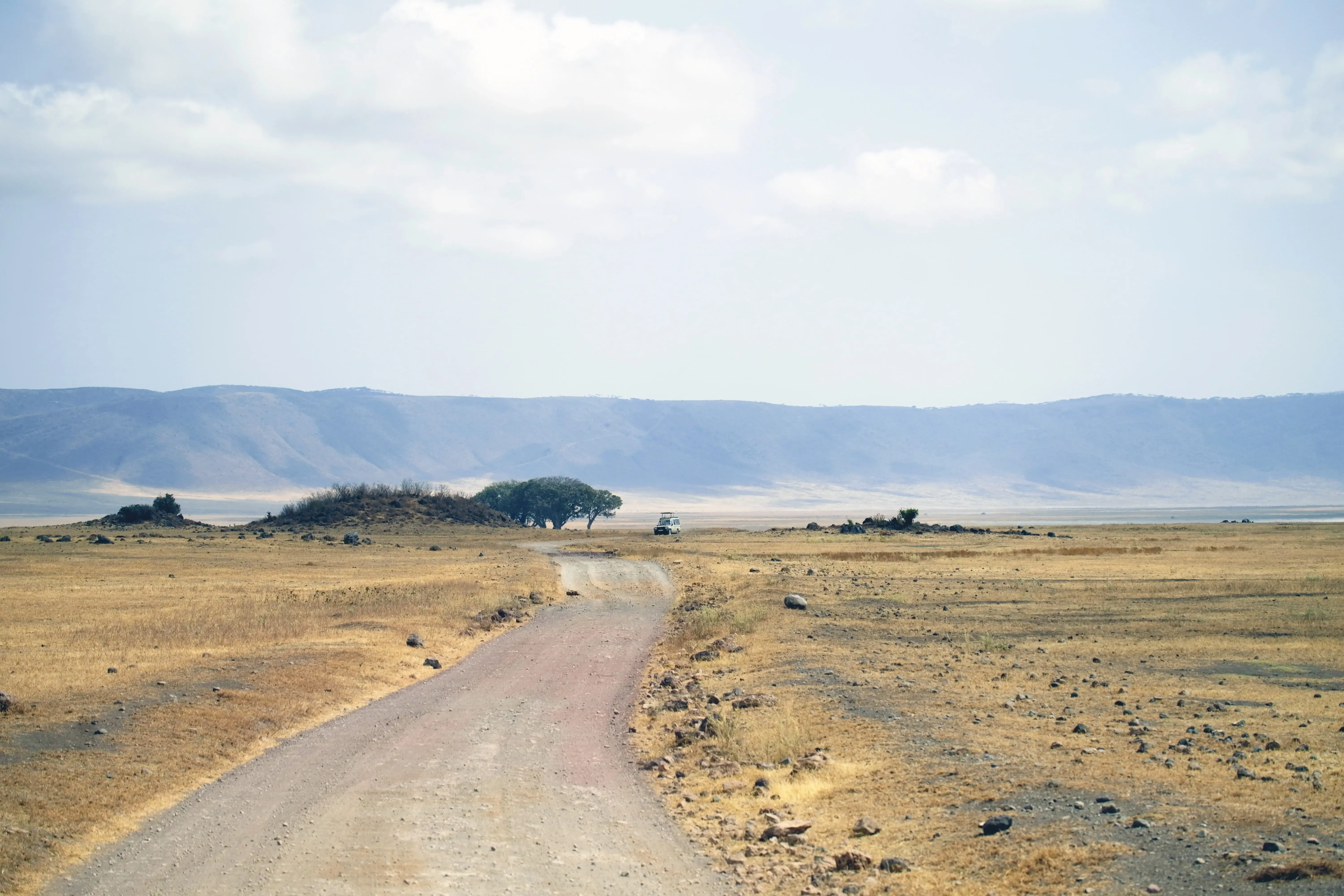 Farewell Safari